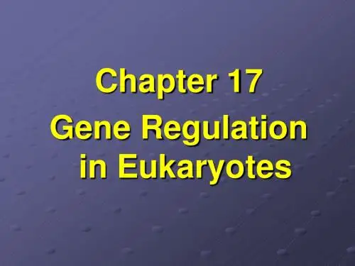 gene regulation in eukaryotes