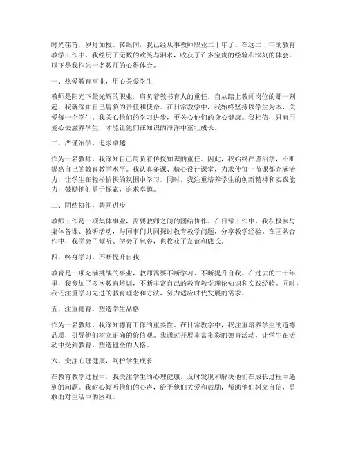 当二十年教师心得体会