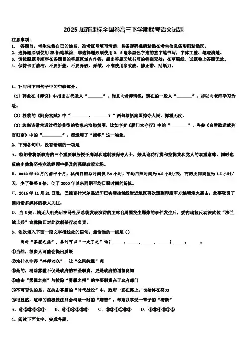 2025届新课标全国卷高三下学期联考语文试题含解析