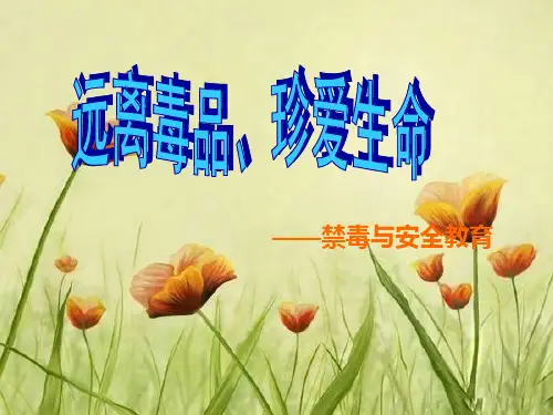 安全与禁毒教育精品PPT课件