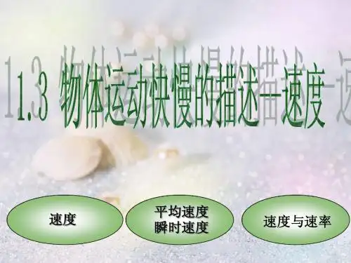 物体运动快慢的描述--速度说课