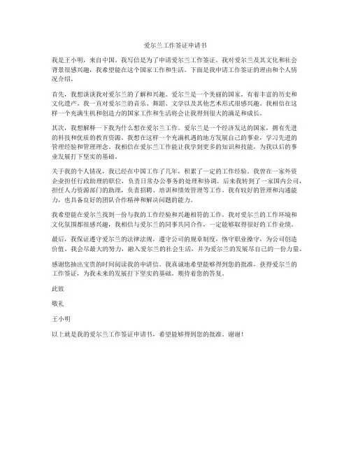 爱尔兰工作签证申请书