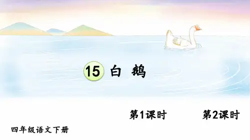 统编人教版小学四年级语文下册《白鹅》优质PPT课件