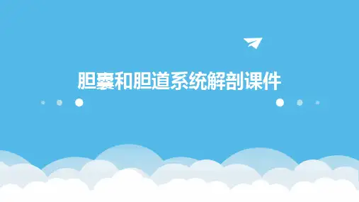 胆囊和胆道系统解剖课件