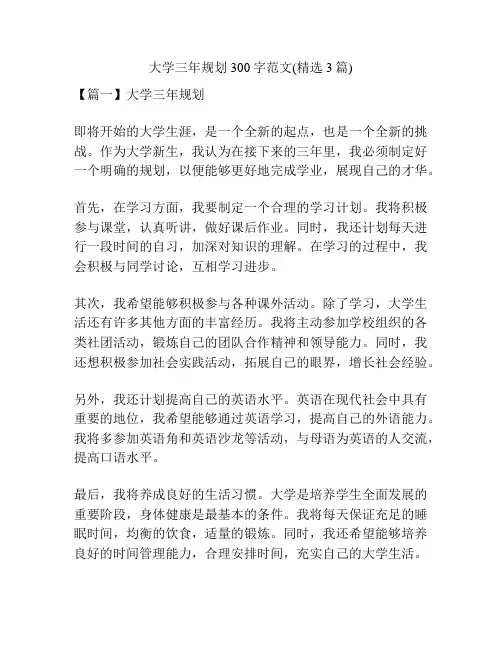 大学三年规划300字范文(精选3篇)