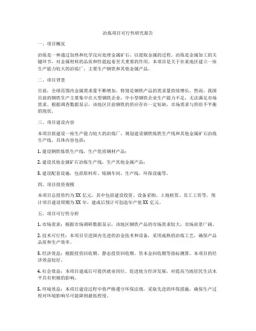 冶炼项目可行性研究报告