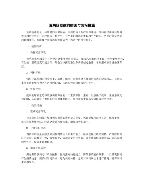 蛋鸡肠毒症的病因与防治措施