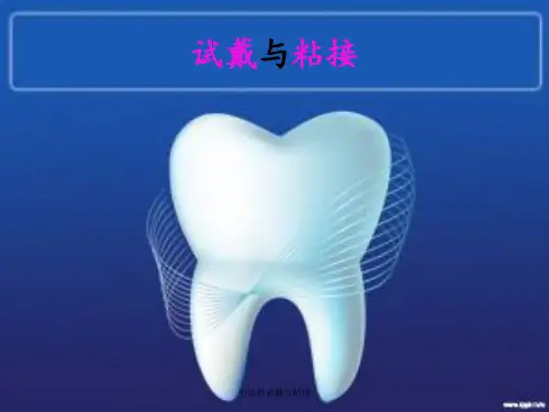 全冠的试戴与粘接 ppt课件