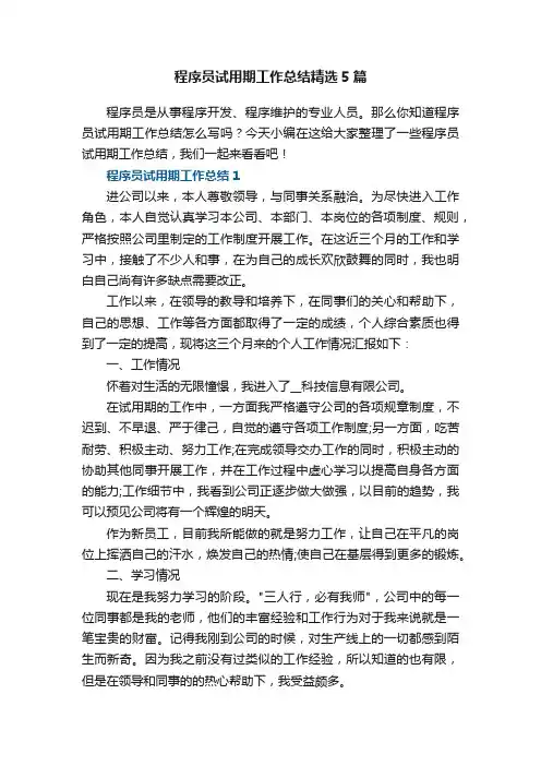 程序员试用期工作总结精选5篇