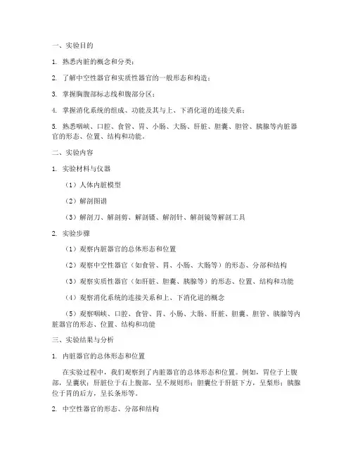 内脏实验报告系统