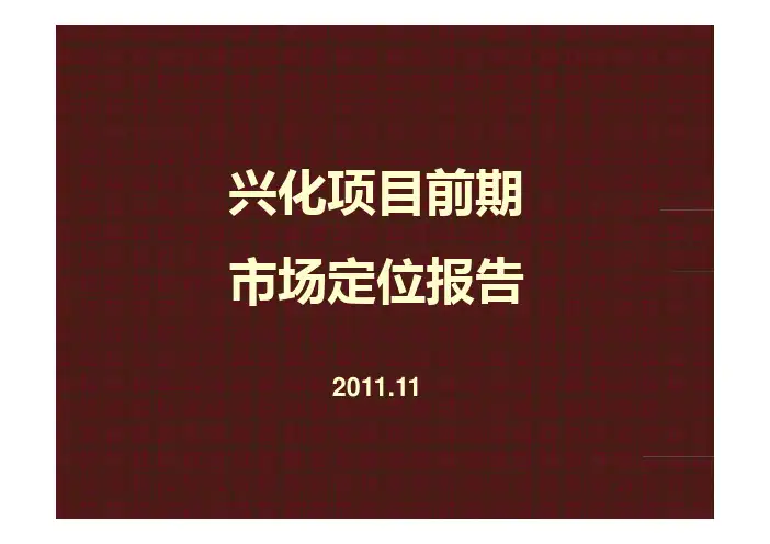 兴化项目前期市场定位报告