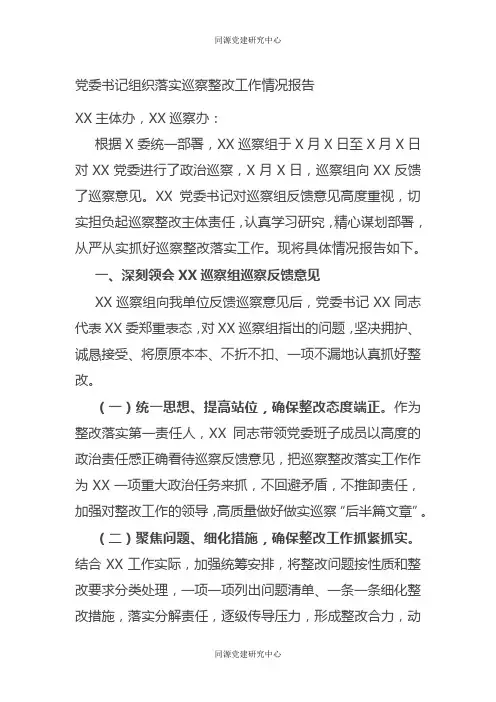 党委书记组织落实巡察整改工作情况报告