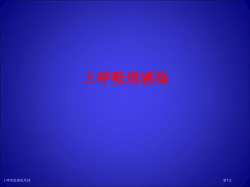 上呼吸道感染培训