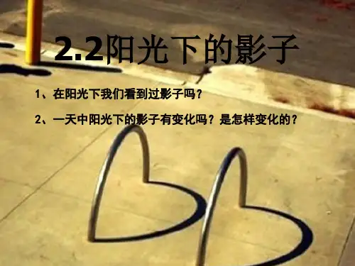 阳光下的影子精品PPT课件