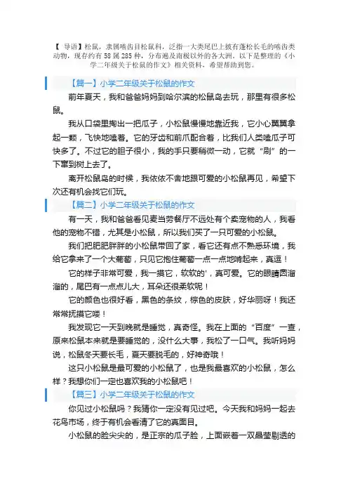 小学二年级关于松鼠的作文