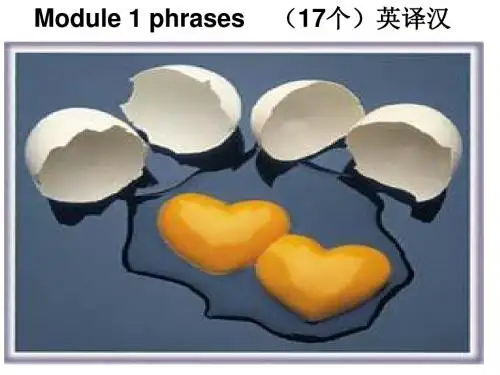 外研版 选修6 Module 1- Module 6 短语复习课件