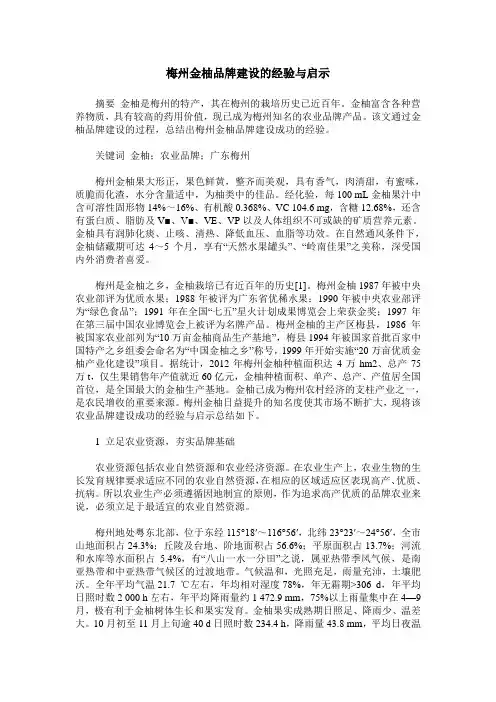 梅州金柚品牌建设的经验与启示