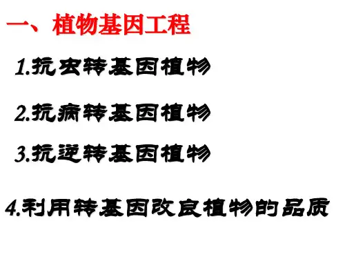 选修3 专题1 1[1].3 基因工程的应用2_PPT幻灯片