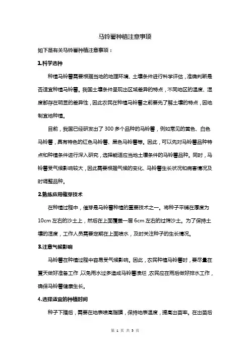 马铃薯种植注意事项