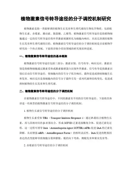 植物激素信号转导途径的分子调控机制研究