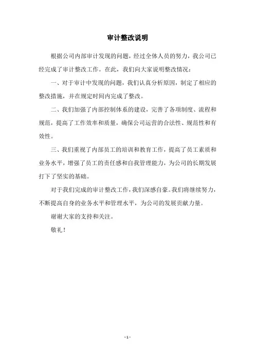 审计整改说明