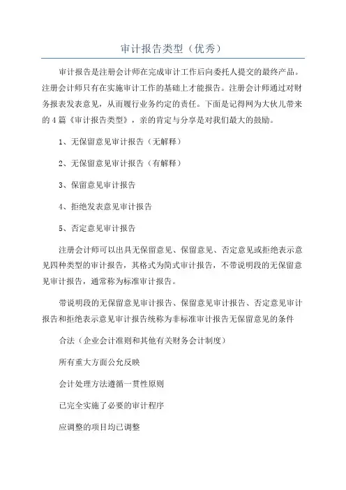 审计报告类型(优秀)