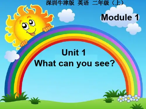 深圳优质微课件      深圳牛津版英语  二年级(上)What can you see