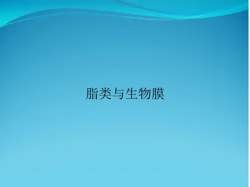 脂类与生物膜