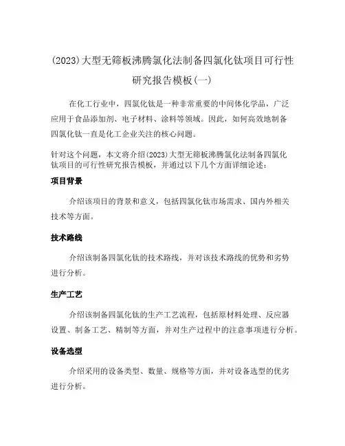 (2023)大型无筛板沸腾氯化法制备四氯化钛项目可行性研究报告模板(一)