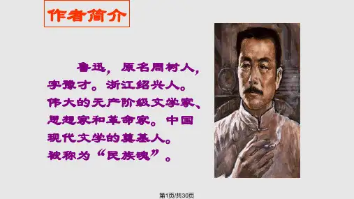 社戏优质课PPT课件