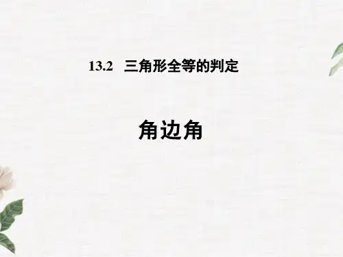 13.角边角PPT课件(华师大版)
