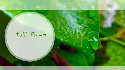 平菇生产技术—平菇生产管理技术