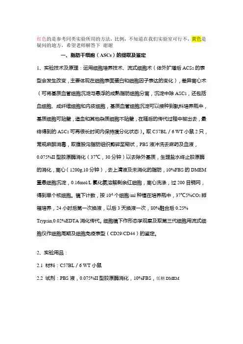 脂肪干细胞的提取及鉴定(1)