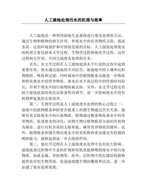 人工湿地处理污水的机理与效率