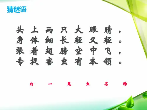 放飞蜻蜓课件PPT
