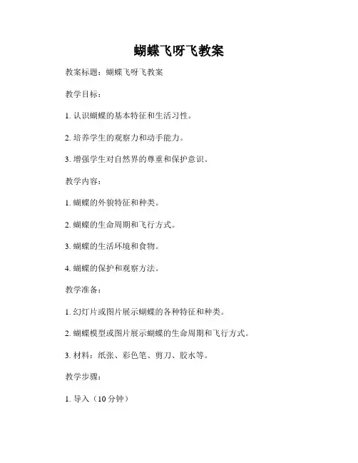 蝴蝶飞呀飞教案