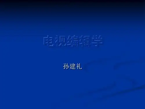 电视栏目编辑学..