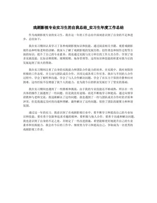 戏剧影视专业实习生的自我总结_实习生年度工作总结