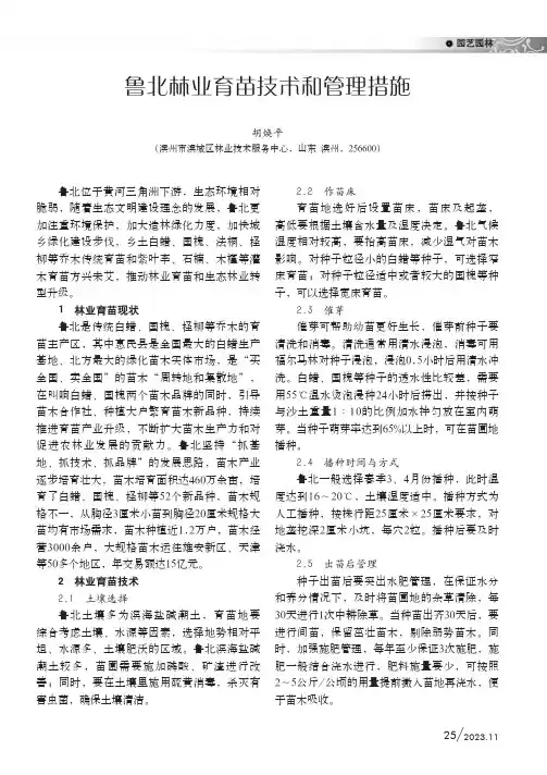 鲁北林业育苗技术和管理措施
