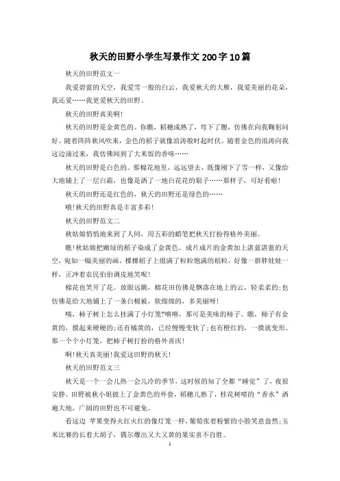 秋天的田野小学生写景作文200字10篇