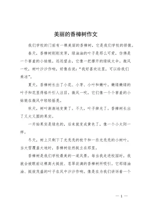美丽的香樟树作文