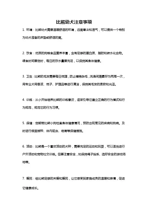 比熊幼犬注意事项