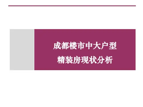 成都楼市中大户型精装可行性分析(沟通简略版)