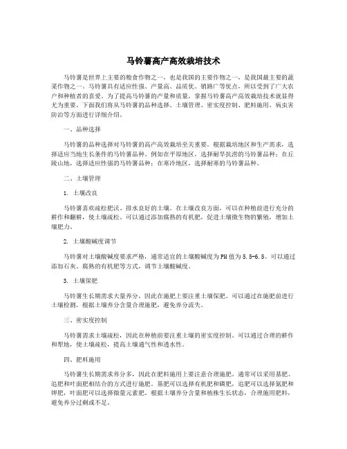马铃薯高产高效栽培技术
