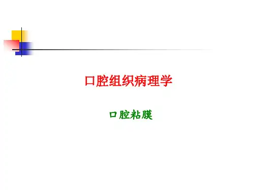 口腔组织病理学课件(口腔黏膜)