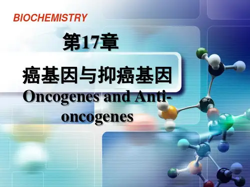 第17章癌基因与抑癌基因 PPT课件