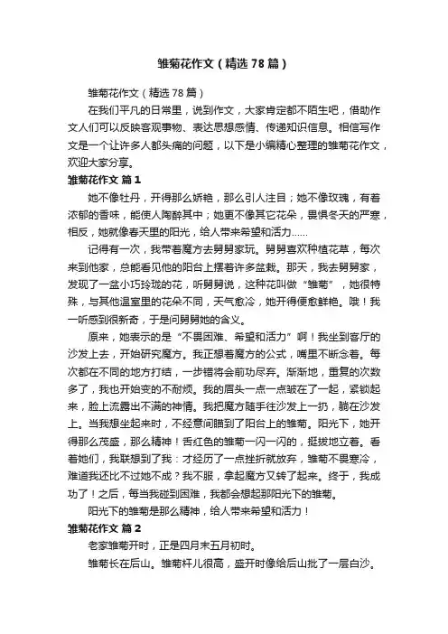 雏菊花作文（精选78篇）
