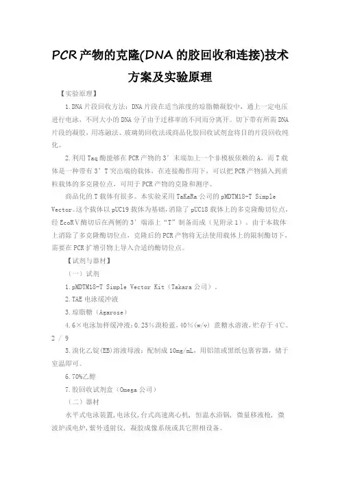 PCR产物的克隆(DNA的胶回收和连接)技术方案及实验原理