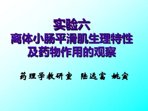 实验四 家兔离体小肠平滑肌生理特性及药物作用的观察