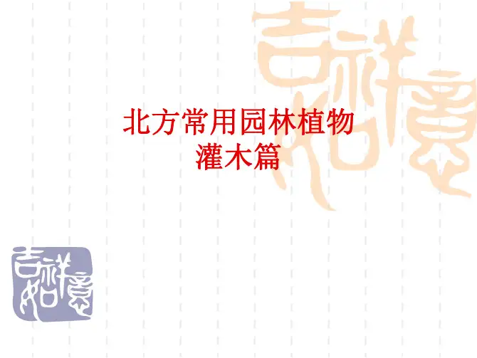 常用园林植物灌木篇